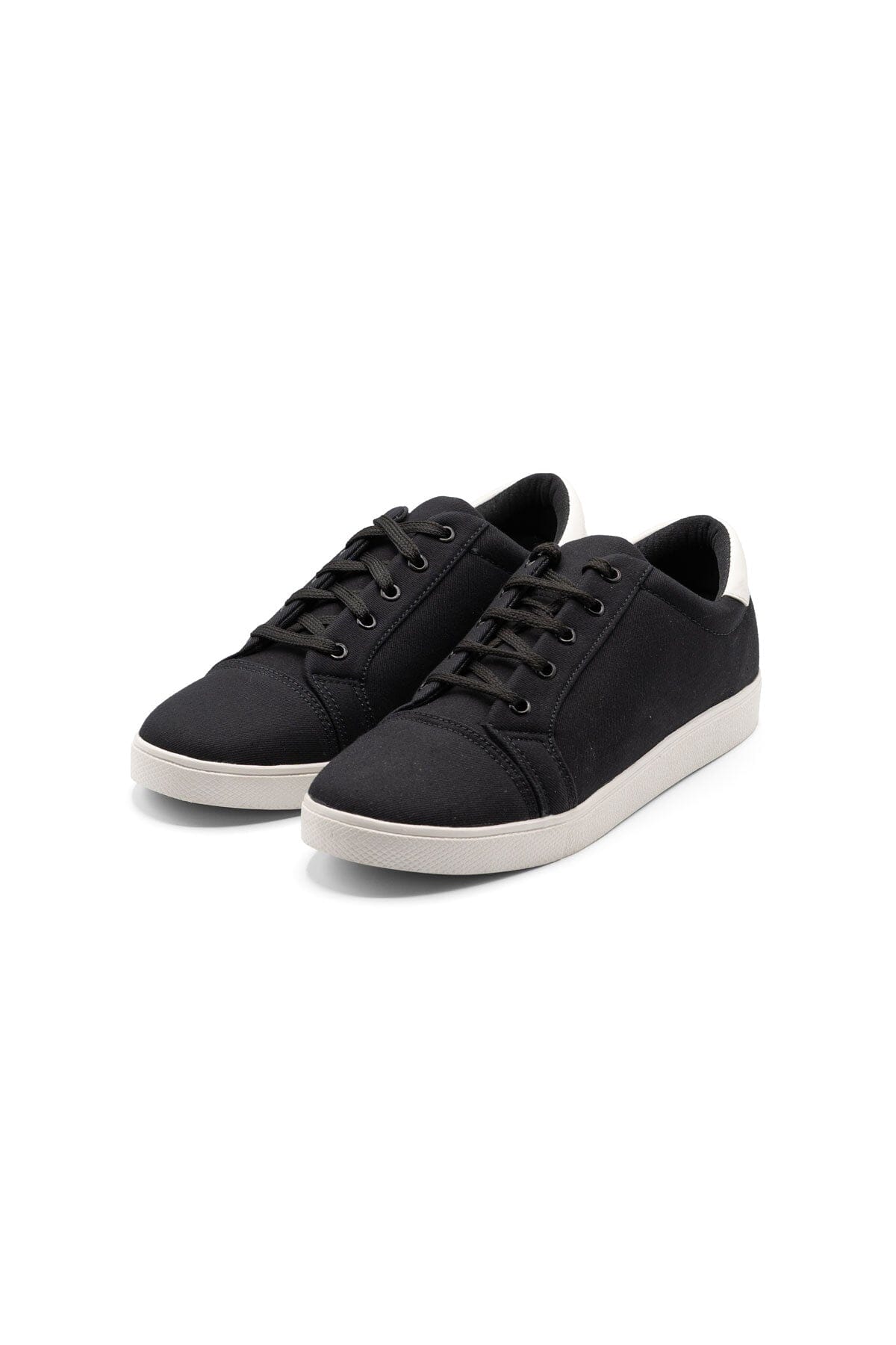 Black Camel Men's Canvas Sneakers
